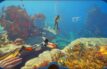 Subnautica 2 – Mehr Inhalte als in vorherigen Early Accesses